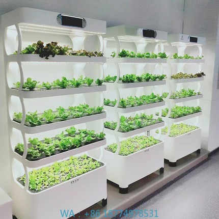 Led Grow Light - Hydroponic Automated Grow SystemIntelligent Hydroponic Growing