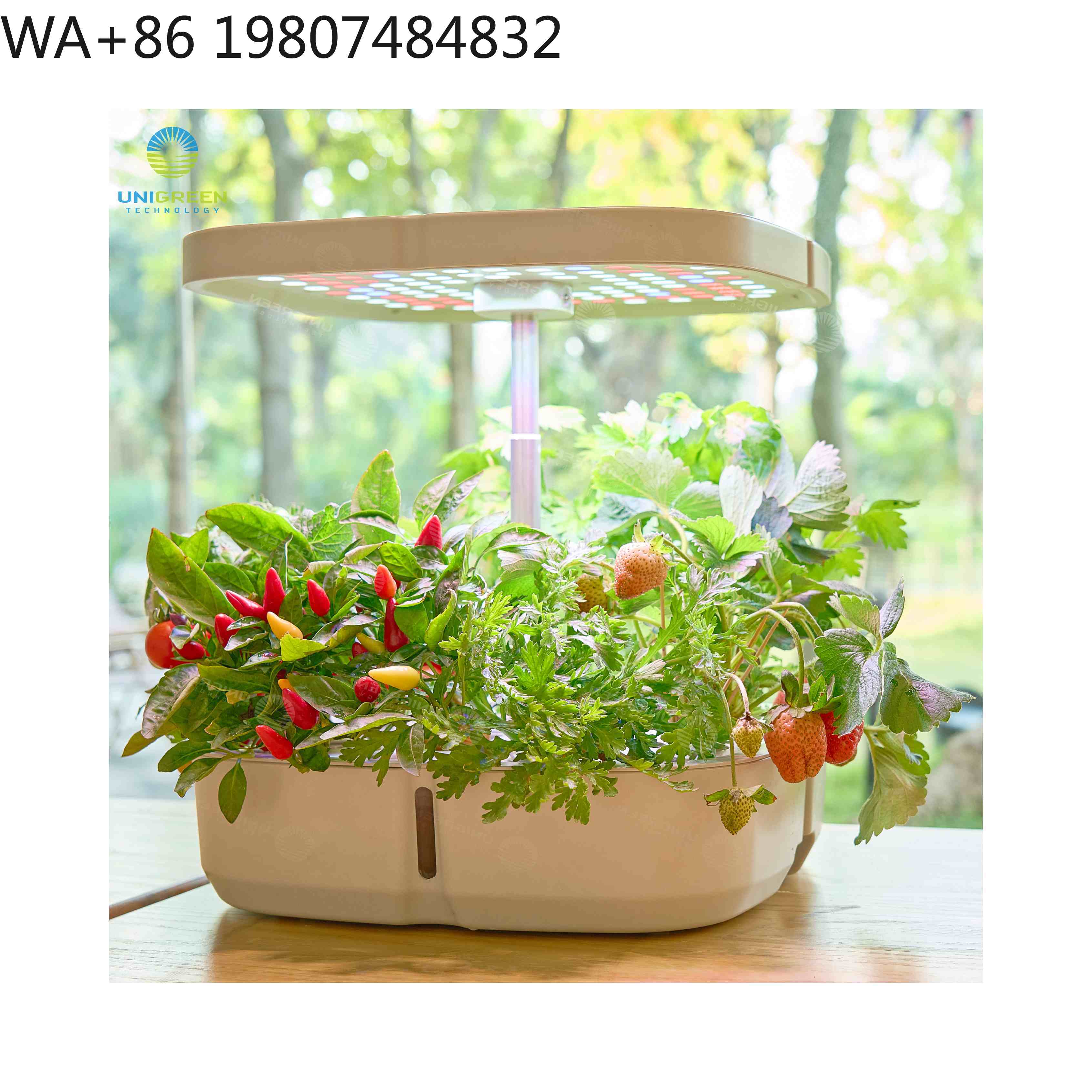 8 Pod  Mini Hydroponic Grow Bo - Led Grow Light recension och pris