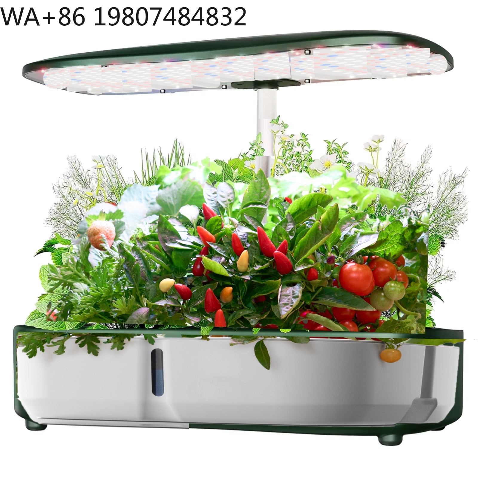 8 Pod  Mini Hydroponic Grow Bo - Led Grow Light recension och pris