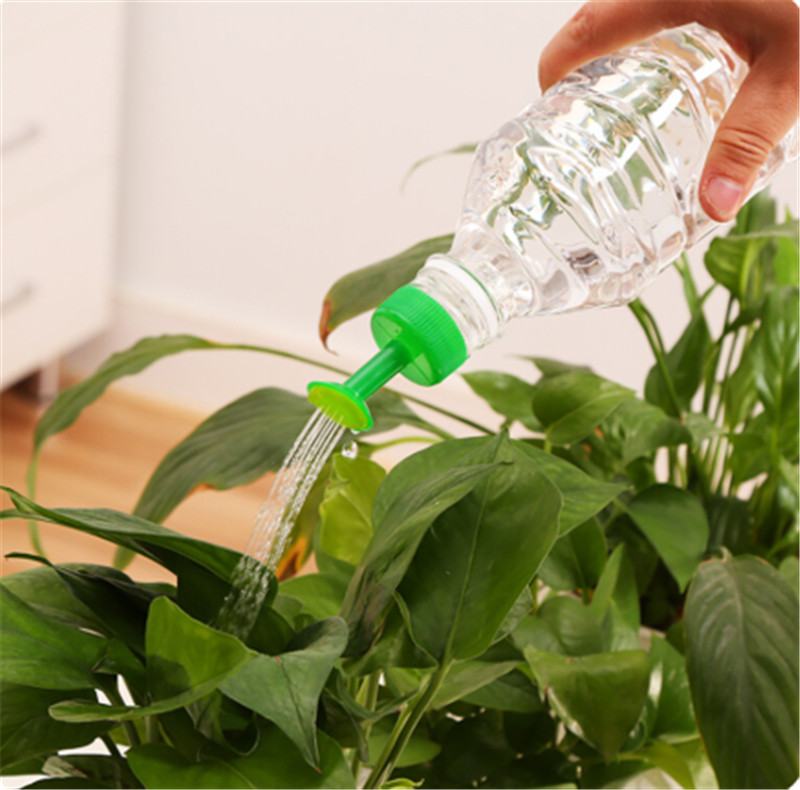 Durable Plastic Plant Water Ca - Gardening Tools For Sale recension och pris