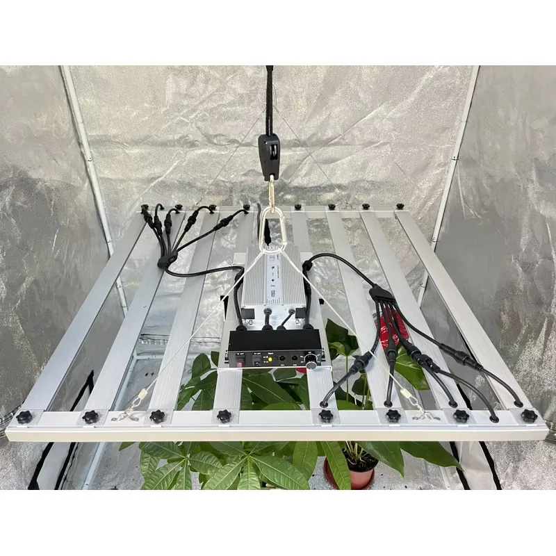 600W Grow Light Driver Inventr - Led Grow Light recension och pris