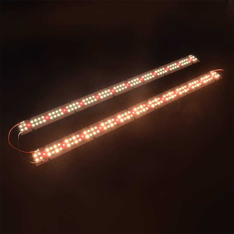 High Quality IP55 Rated COB LE - Led Grow Light recension och pris