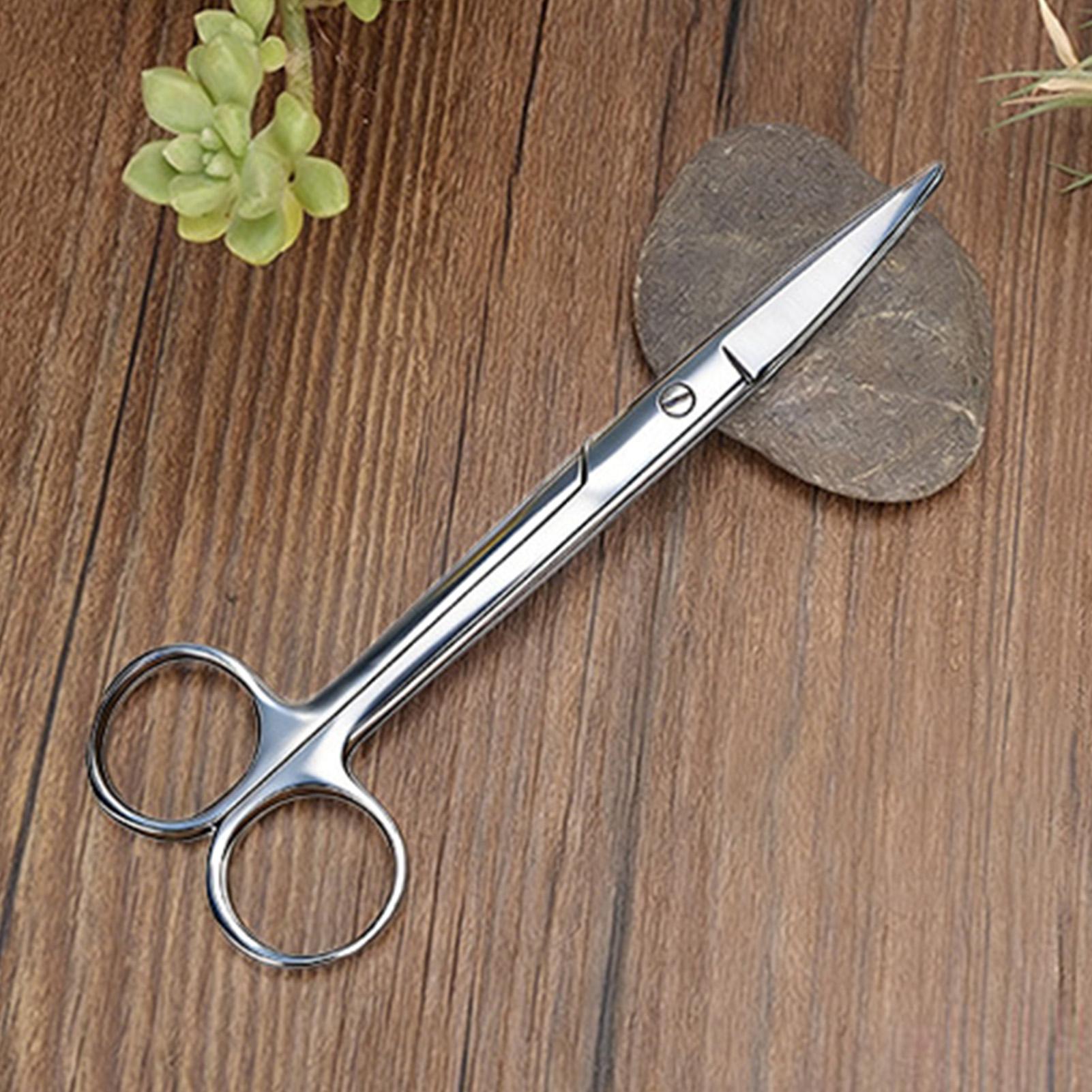 Plant Shears Stainless Steel E - Pruning Shears recension och pris