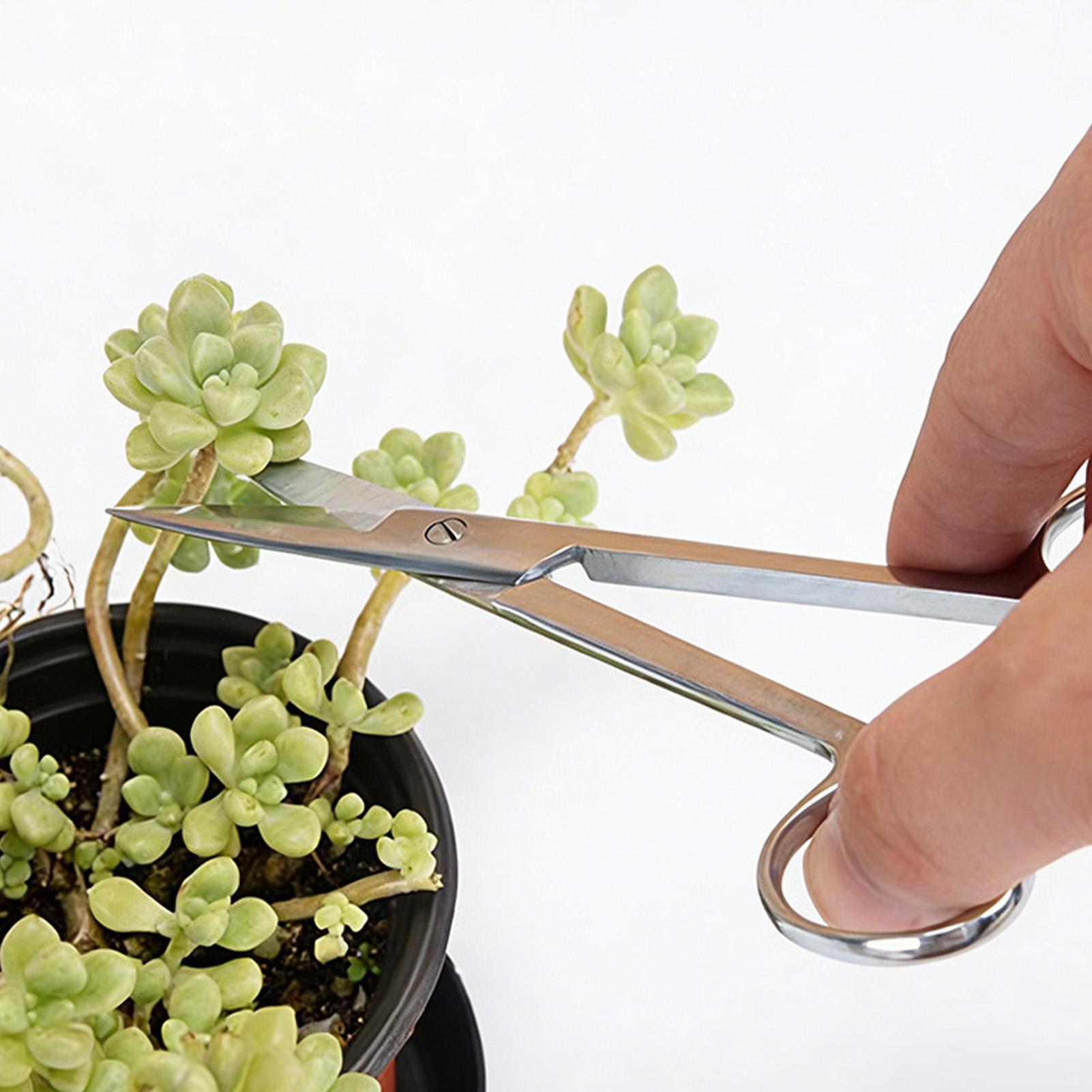 Plant Shears Stainless Steel E - Pruning Shears recension och pris